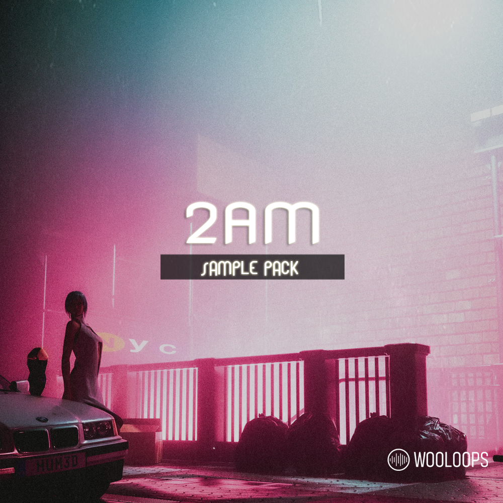 2AM PRO copy