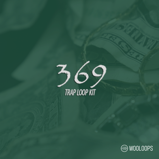 369 copy 2