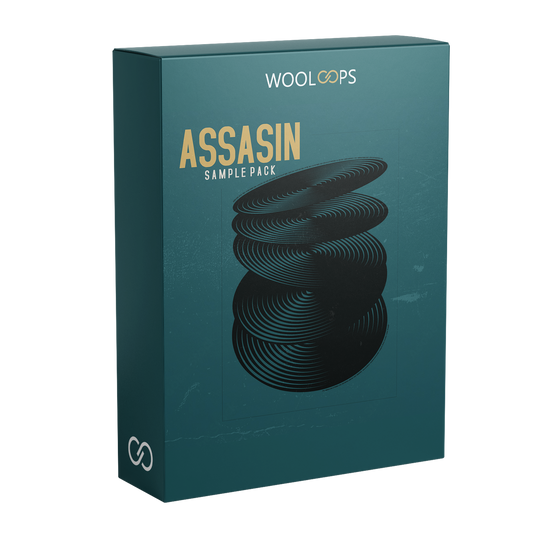 ASSESIN 1 copy
