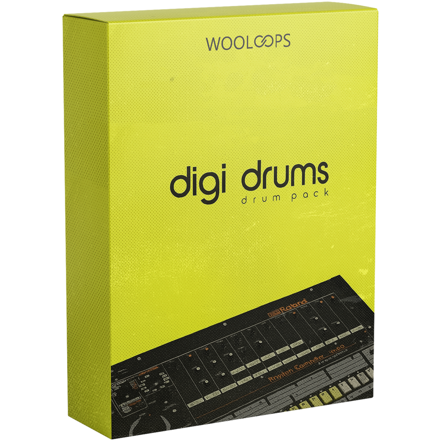 Digi Loops 2 copy