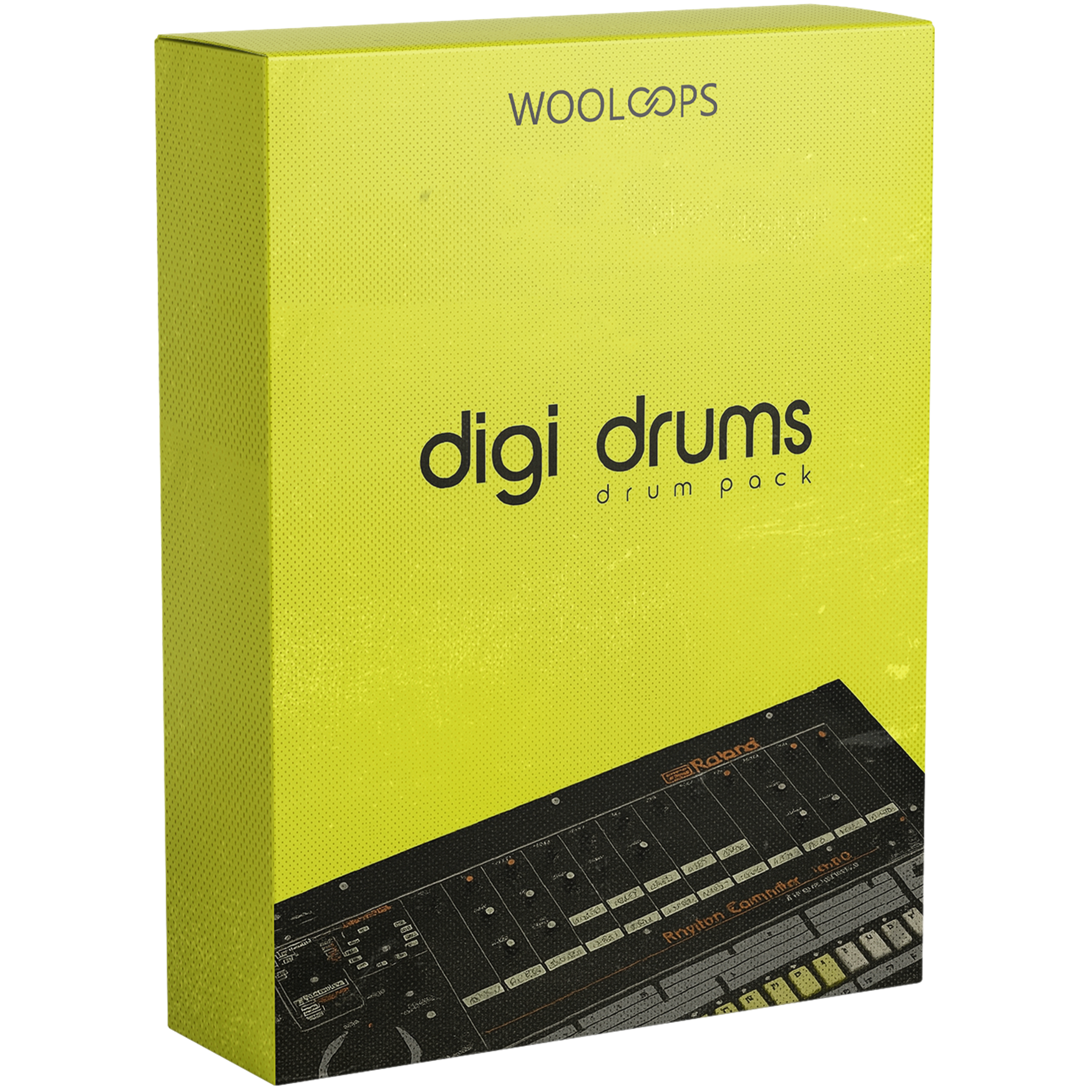 Digi Loops 2 copy