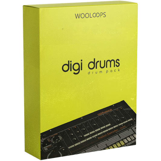 Digi Loops 2 copy