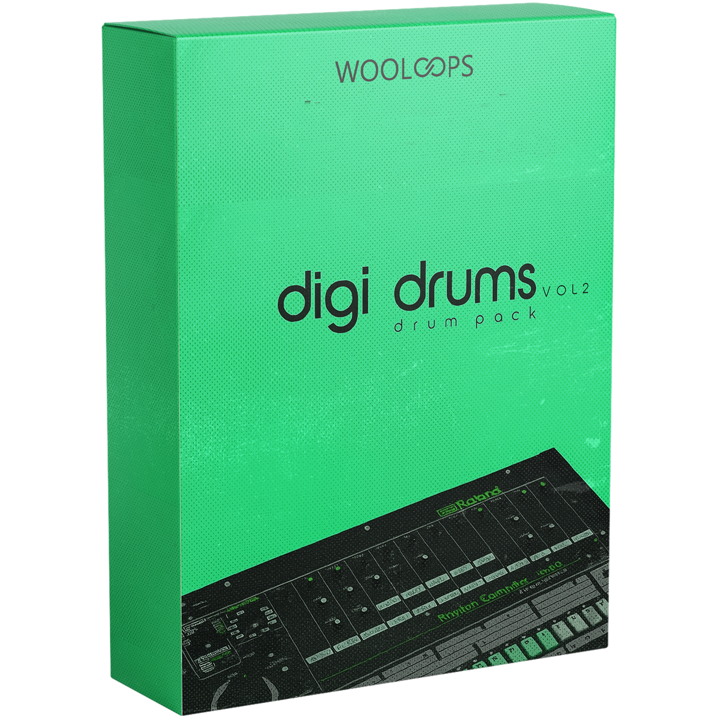 Digi Loops copy