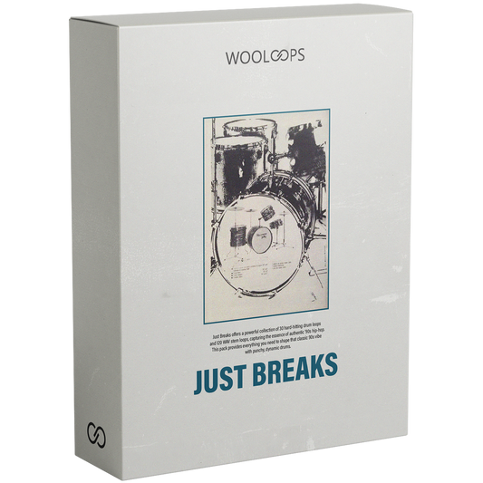 JUST BREAKS BOX