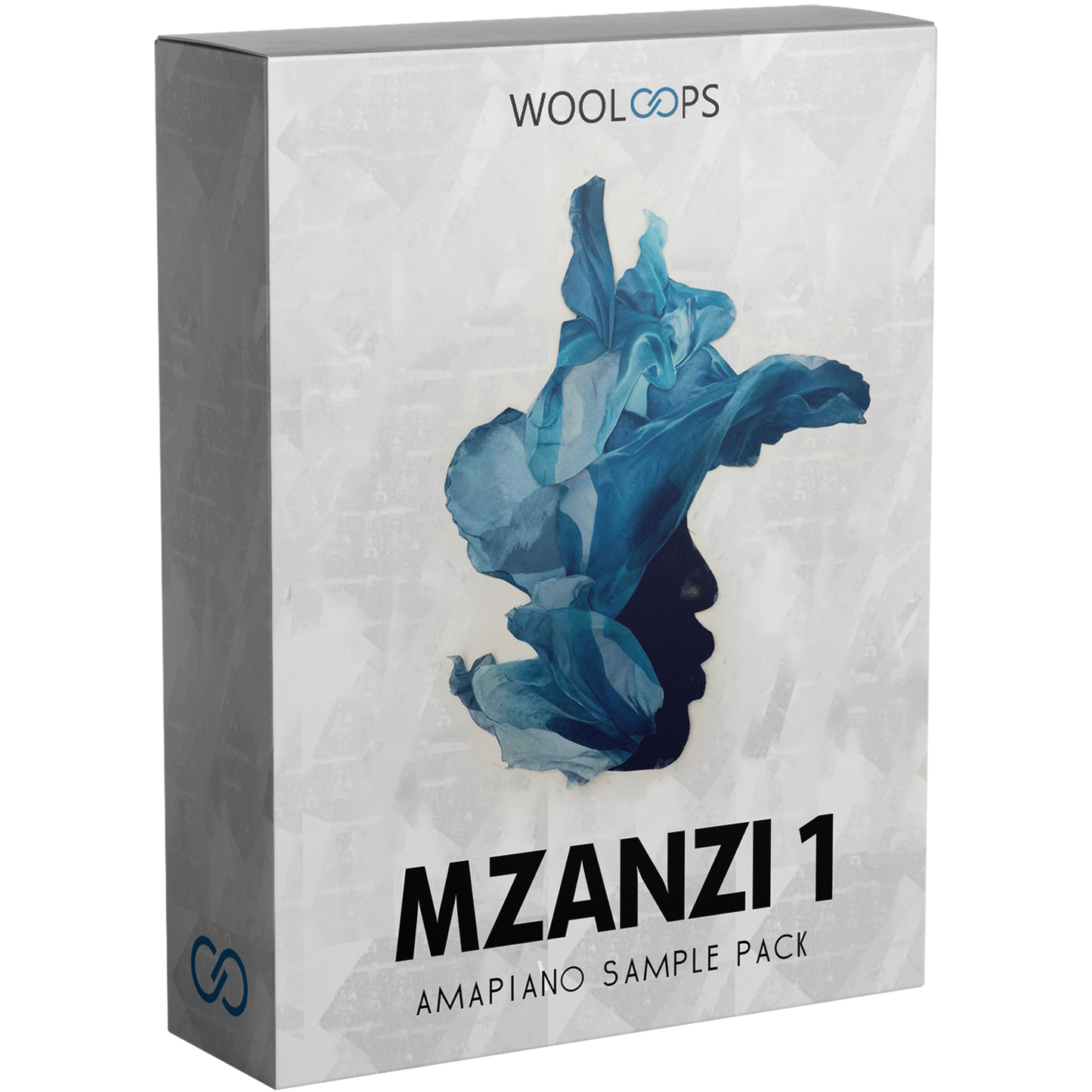 Mzanzi 1111