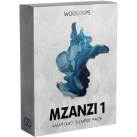 Mzanzi 1111