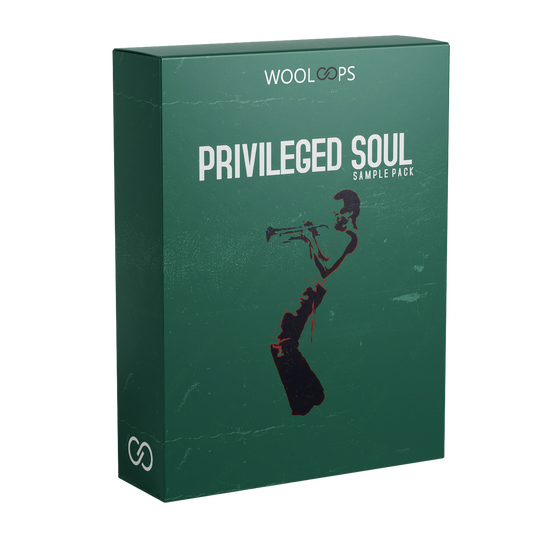 PRIVILAGED SOUL copy