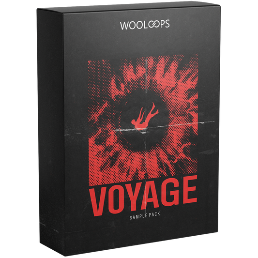 Voyage